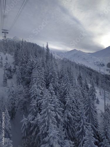 Snowy Winter Landscape in Zakopane, Tatra Mountains with Frosted Trees and Overcast Sky