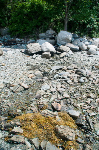 Картината върху платно Rock strewn landscape at Lamoine State Park, Maine during July