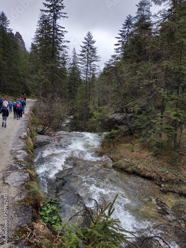 Scenic Mountain Trail with River in Zakopane, Tatra Mountains