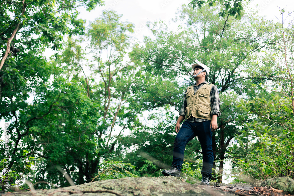 Fototapeta premium Environmental engineer surveying forest ecosystem.