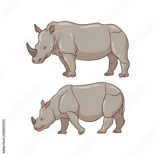 illustration of a javan rhinoceros