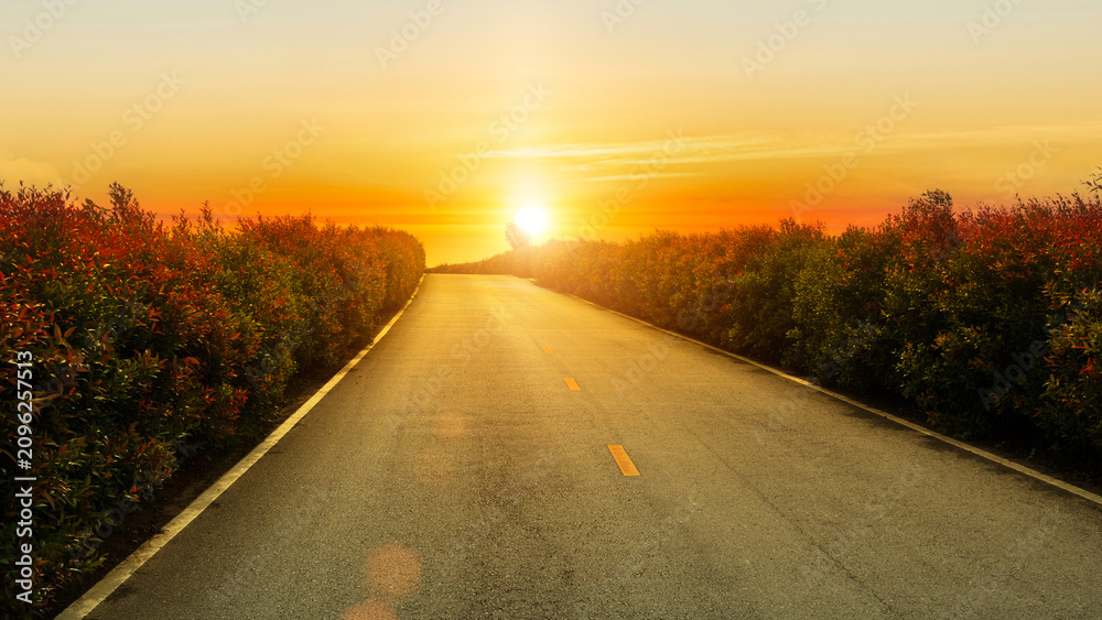 Fototapeta premium Empty asphalt road leading toward a glowing golden sunset surrounded by lush roadside bushes.