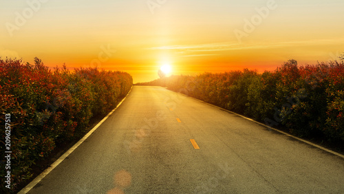 Fotografía Empty asphalt road leading toward a glowing golden sunset surrounded by lush roadside bushes