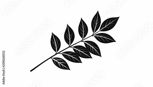 Billede på lærred Black leaf branch with leaves.