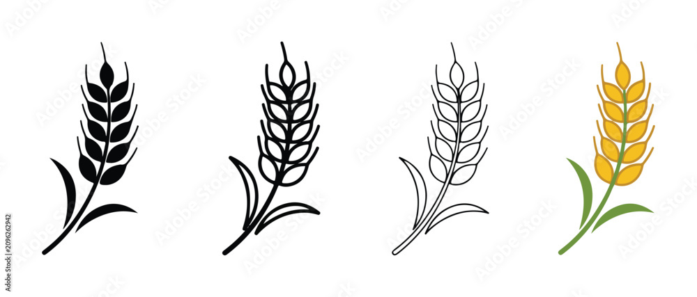 Obraz premium wheat ears in different colors and line styles on white background