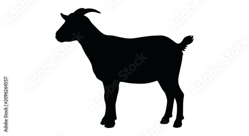 Fotografi Black silhouette of a goat against a white background