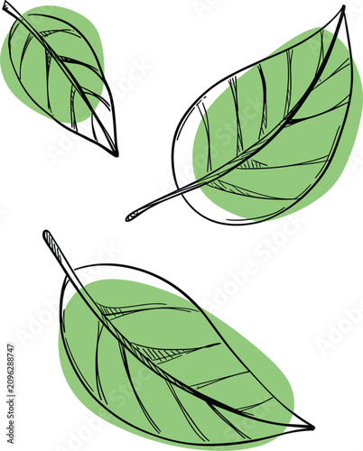 Hand drawn green leaves set, falling foliage outline sketch elements vector illustration isolated background