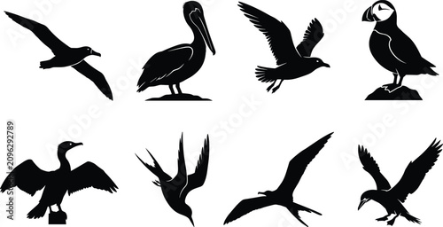 Konstfotografi Collection of black seabird silhouettes featuring pelican puffin seagull cormora