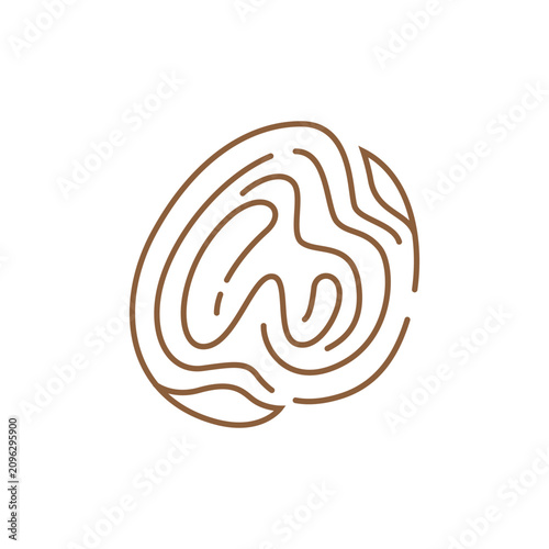 Wood grain logo with letter W inside