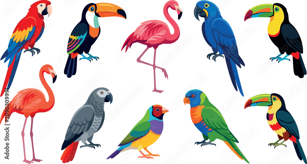 Obraz premium Exotic Tropical Birds Vector Icon Set Featuring Colorful Macaw, Toucan, Flamingo, African Grey Parrot, and Gouldian Finch for Wildlife Nature Designs