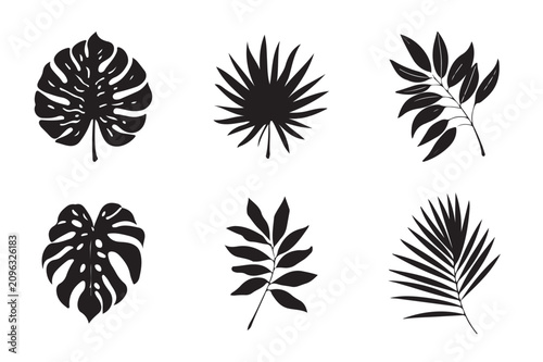 Tropical leaves botanical icon and symbol collection in black line art style vector illustration on a white background