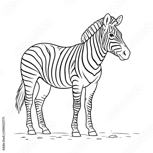 Zebra Line Art Outline Illustration . 