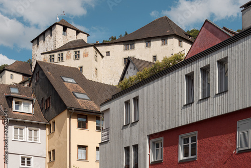 Castleward Convergence: Where Historic Stone Rises Above a Tapestry of Modern Homes