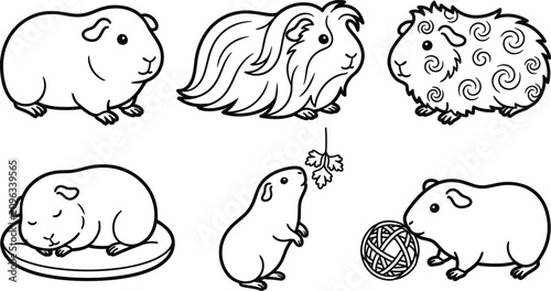 Tableau sur toile Guinea Pig Breeds and Behaviors Vector Outline Set Featuring Longhaired Abyssini