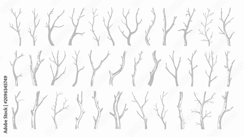 Obraz premium Gray Bare Tree Branches Isolated on White Background, Various Shapes and Sizes, Vector Illustration with branch silhouettes and branch illustrations and minimalistic design in simple