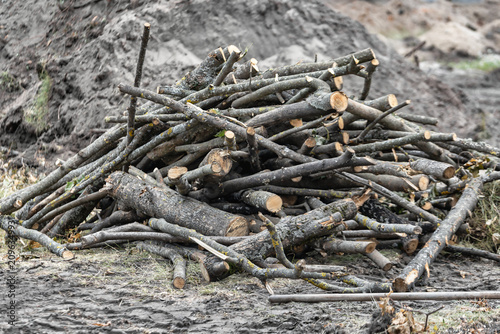 Workers have cut down trees at a construction site. Logs are piled up on the ground and the area shows signs of recent activity