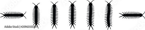 Foto Black Centipede and Millipede Silhouette Vector Icon Set Featuring Creepy Crawly