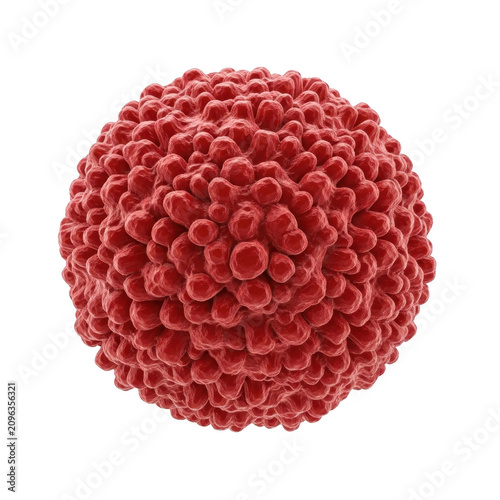 A detailed close-up view of a vibrant red spherical cluster resembling a berry or biological cell structure isolated on transparent background