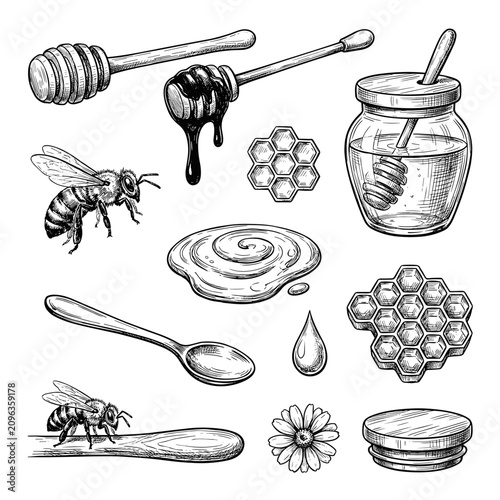 Hand drawn honey dipper with bee and honeycomb sketch set, isolated on white background, culinary nature concept