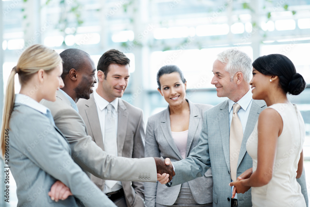 Fototapeta premium Business, staff and handshake with manager in office for company welcome, onboarding or new hire. Happy, people or shaking hands with candidate for corporate intern, team integration or career growth