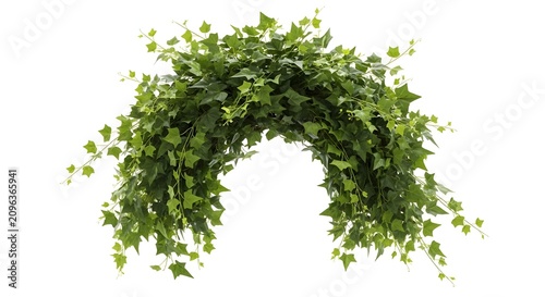 Green ivy archway with fresh leaves