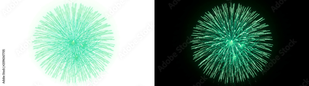 Fototapeta premium Green Chrysanthemum Firework isolated PNG, Transparent and Black Background Versions