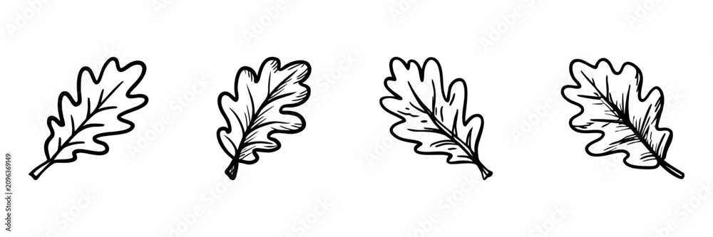 Fototapeta premium Oak Leaves In Hand Drawn Style Set. Nature And Botanical Doodle Sketch Collection. Perfect For Seasonal And Decorative Designs. Isolated Vector Illustration