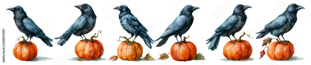 Obraz premium Black watercolor crows perching on orange pumpkins, embodying the spooky and festive spirit of halloween, harvest, and autumn celebrations with a gothic touch