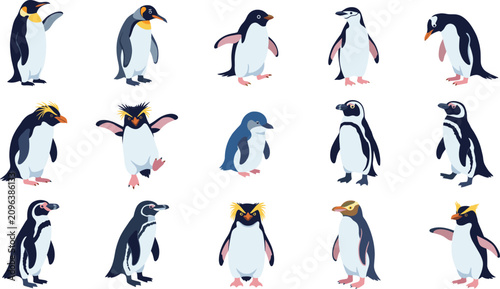 Fotografie Penguin Species Vector Collection with Cartoon Antarctic Birds Isolated Wildlife