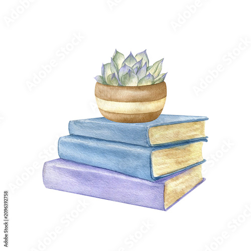 Watercolor composition with a stack of books and a potted succulent plant. Cozy hand drawn illustration isolated on white for reading blogs, education, bookstore decor and stationery design.