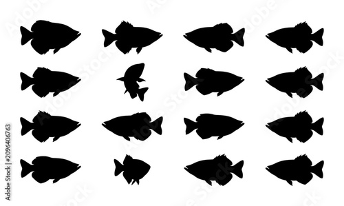 Konstfotografi Collection of 16 Black Fish Silhouettes, Aquatic Life Vector Icons, Marine Anima