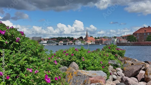 Panoramic view of Flensburg Fjord near Sonderborg with the historic old town, castle, blooming wild roses, rocky shoreline and dramatic summer clouds.Denmark