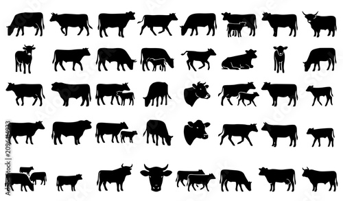 Fotografie Farm Cattle Black Silhouette Collection with Dairy Cow Livestock and Agriculture