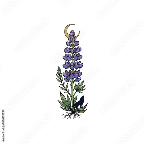 Photography Vibrant Purple Lupine Flower Stalk With A Golden Crescent Moon At The Top And A