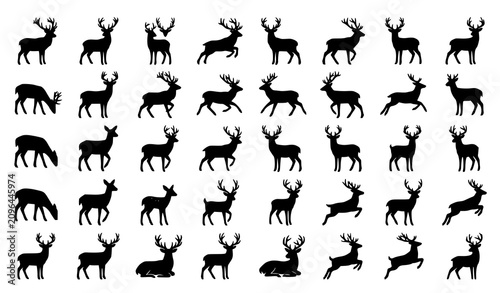Obraz na płótnie Deer and stag silhouette icon set with bucks large antlers jumping deer grazing