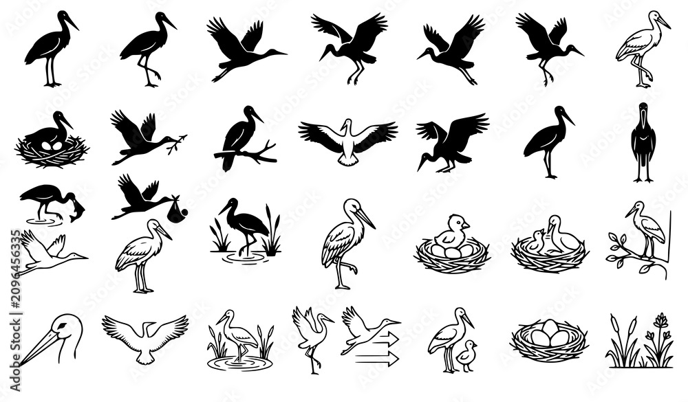 Obraz premium Vintage Black Silhouette and Line Art Stork Bird Icon Set Featuring Flying Birds Nests Newborn Chicks and Wetland Reed Botanical Vector Design Elements