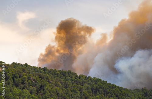 Catastrophic forest fire burning dry vegetation during summer in Andalusia, Spain