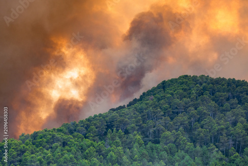 Mediterranean Forest Fire in Spain with Flames, Smoke and Burned Trees, Avila
