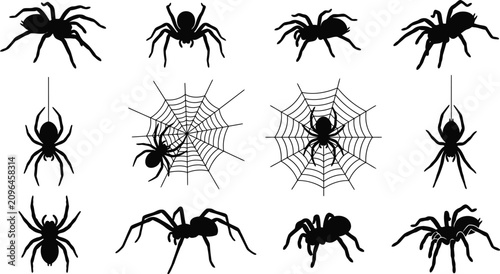 Φωτογραφία Black spider silhouettes, spider web icons, Halloween vector graphics, creepy cr
