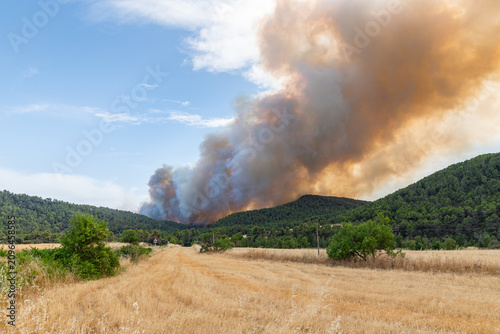 Wildfire in Matarraña, Aragon, Spain, forest fire under smoke