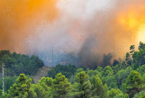 Emergency containment lines being threatened by a massive wildfire in Spain