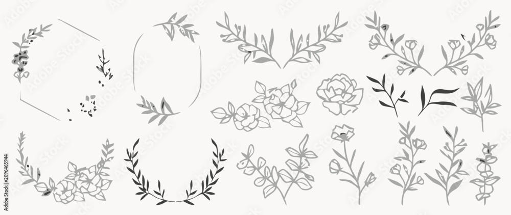 Fototapeta premium Botanical line art frames and floral elements collection