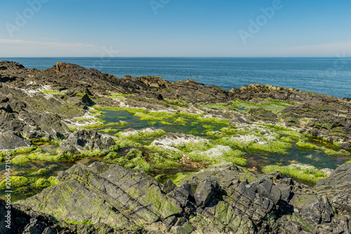 Foto Rocky Irish Sea Coastline of Peel in the Isle of ManShowing Salty Rockpools and