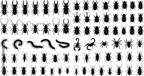 Foto Insects and Bugs Silhouette Vector Icons Set with Beetles Spiders and Centipedes