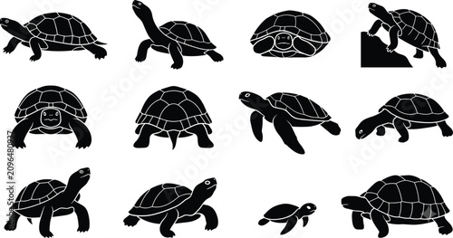 Foto Turtle and Tortoise Silhouette Vector Elements Set of Reptile Animals for Nature
