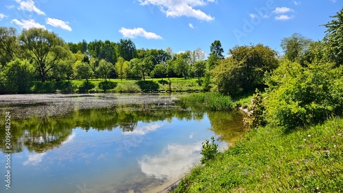 Bushes, willows and lime trees grow on the grassy shores of the lake. There is a park on the far shore. The surface of the water is covered with the fluff of flowering trees. Sunny spring weather