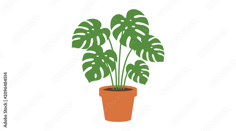 Fototapeta premium Monstera plant in terracotta pot flat vector illustration on white background