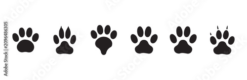 Photography Set of wild animal paw prints isolated on white background.