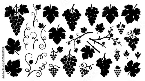 Foto Grape bunches and vine leaves silhouette vector illustration set featuring winer