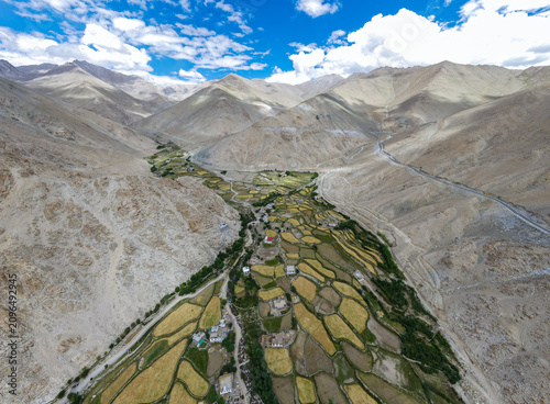 Photography Top View of Ladakh Farmland
Leh Valley Farming Landscape
Himalayan Crop Fields D